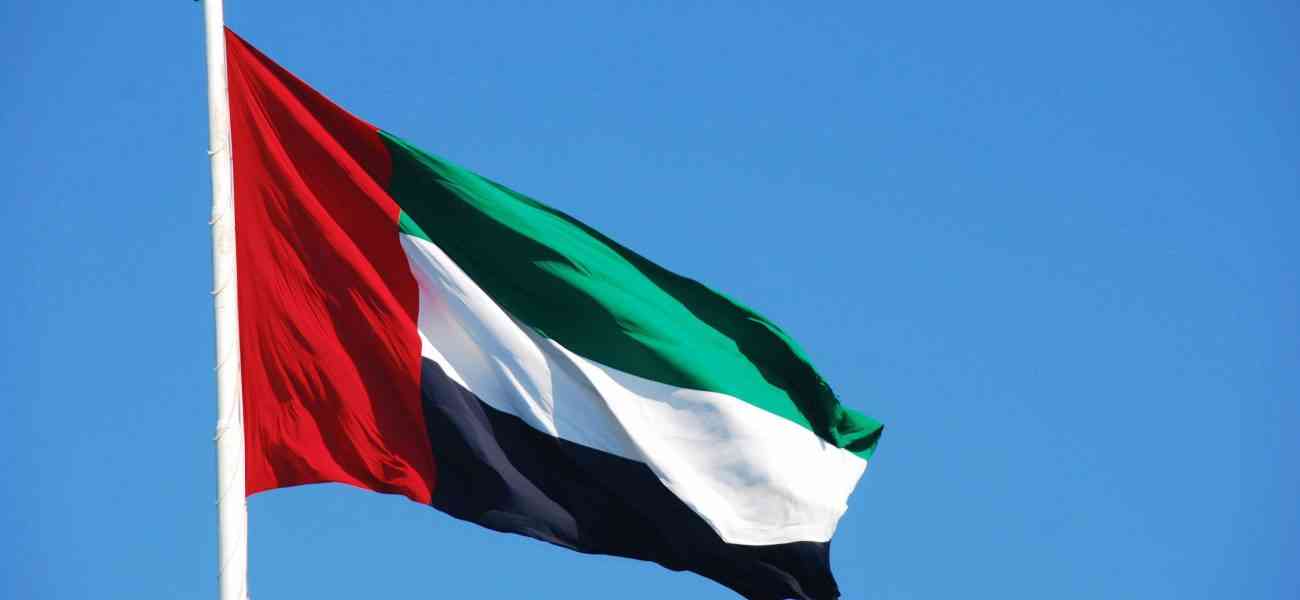 الإمارات تعيد 73 من مواطنيها ومرافقيهم إلى أرض الوطن